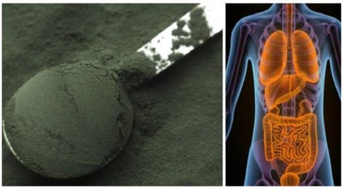 How to Detox of Your Entire Body (Each Organ) To Never Be Sick or Tired Again