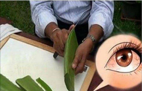 Russian Doctor Explains The Definitive Way To Cure Vision Problems Naturally