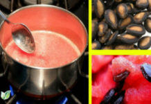 Boil The Watermelon Seeds and Then Take It, Its Effects Will Leave You With Open Mouth