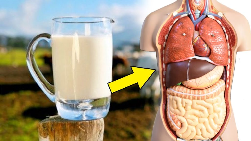 This Is What Happens To Your Body When You Drink A Glass Of Milk Every