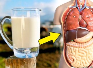 This Is What Happens To Your Body When You Drink A Glass Of Milk Every Day