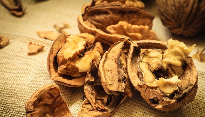 This Part Of The Walnut Is Even Healthier Of The Walnut, And We Throw It Away