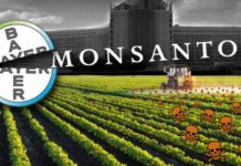 BREAKING NEWS: The Name Monsanto is Officially History After 117 Years of Poisoning People Around the Globe