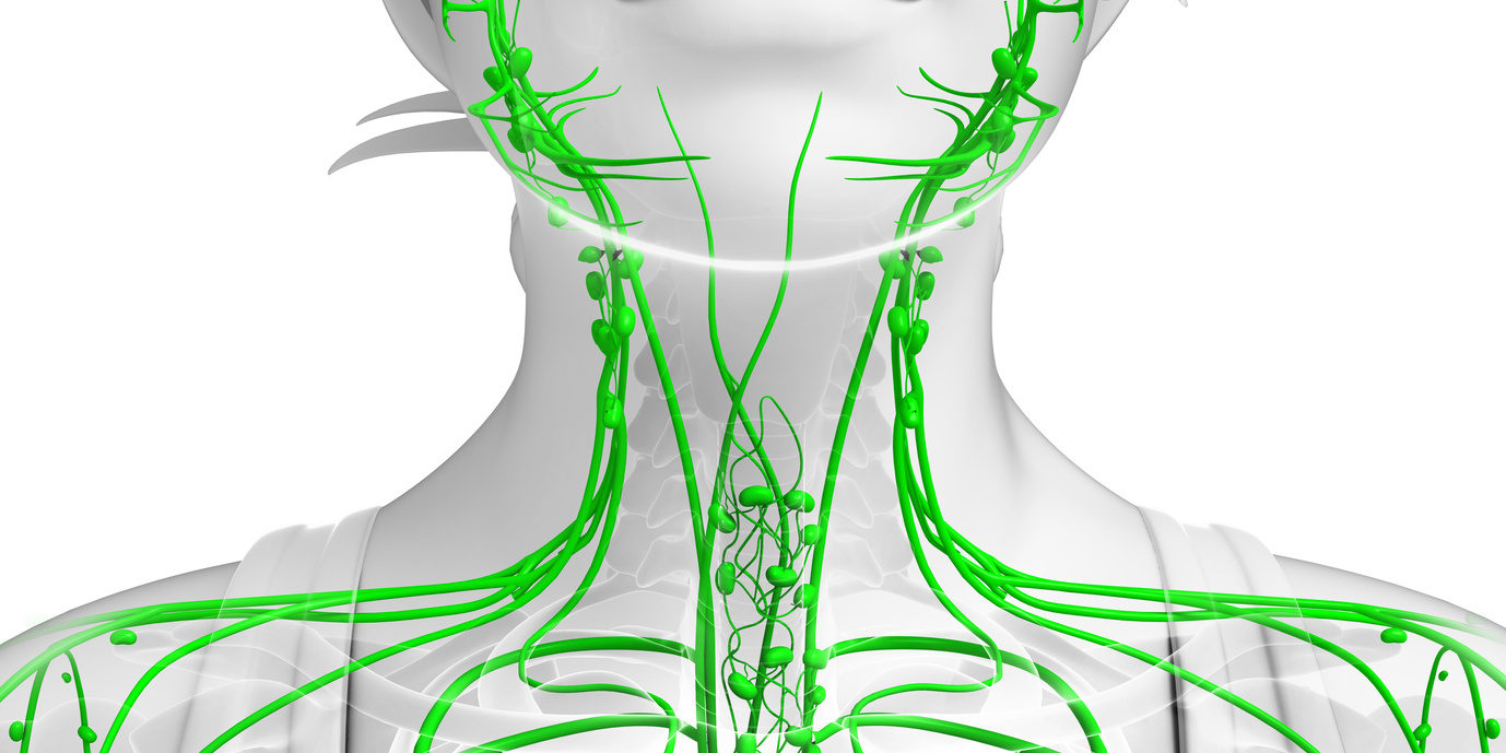Очищение лимфатических узлов. Лимфатическая система лимфоузлы. Что такое лимфа у человека. Лимфатическая система лица анатомия.