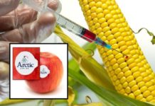 The Top Six Things Everyone Must Know to Avoid GMOs in 2018