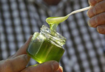 In This Way You Must Consume Aloe Vera, Lemon and Honey, The Best Remedy To Treat Colitis, Gastritis, Ulcers, Constipation, Among Other Things