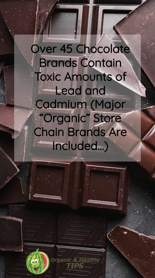 Over 45 Chocolate Brands Contain Toxic Amounts of Lead and Cadmium