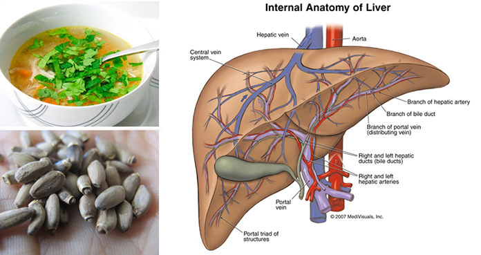 Nine Herbs to Detox the Liver and Protect the Body From Toxins and Pollutants