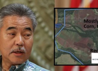 “We Will Stand Up for Our Kids, Even if Washington Will Not:” Hawaii Passes Historic Ban on Trump-Approved Chemical Found Harmful to Children’s Brains