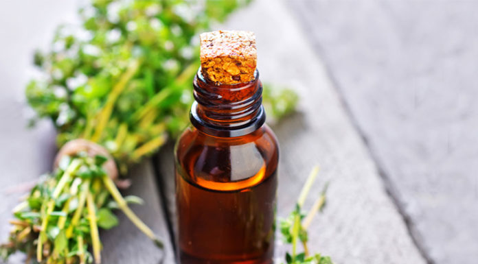 Study: Thyme Plant extract revealed to be more effective than ibuprofen
