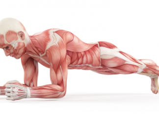 7 Things That Happen When You Do planks Every Day