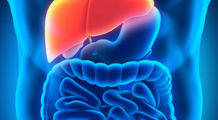 Six Ways You Suck The Life Out Of Your Liver