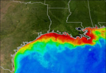Tyson Foods Corporation Now Linked to Largest Dead Zone in U.S. History