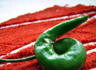 The Best Herb for First Aid – Stops Serious Bleeding in Seconds!