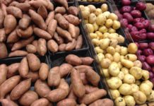 FDA Approves Three New Types of GMO Potatoes — Here’s What You Must Know to Avoid Them