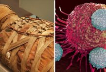Cancer is a Purely “Man-Made Disease,” British Researchers Suggest After Examining Egyptian Mummies