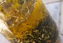 Make Your Own Thieves Oil or Vinegar to Protect Against the Plague of the Day