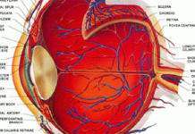 How To See WITHOUT Glasses, No Matter How Bad Your Vision Is