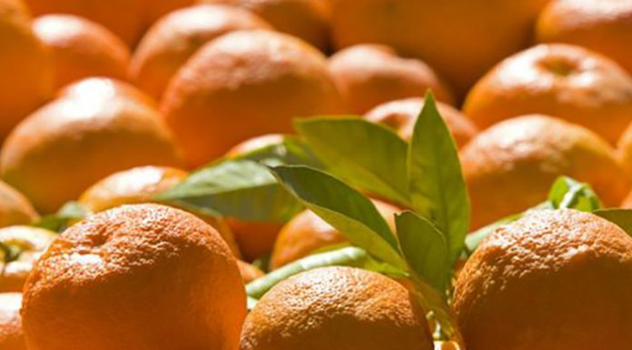 bitter orange benefits