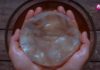 It’s Amazing How These Microorganisms Can Help You Lose Weight