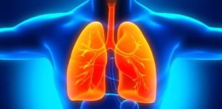 Common Plant Compound Found to Reverse Lung Problems from COPD