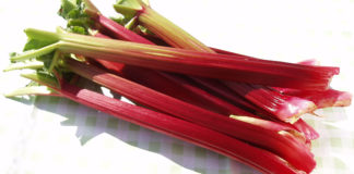 Rhubarb Shows Promise For Treating Chronic Liver Disease
